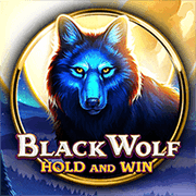 Black Wolf